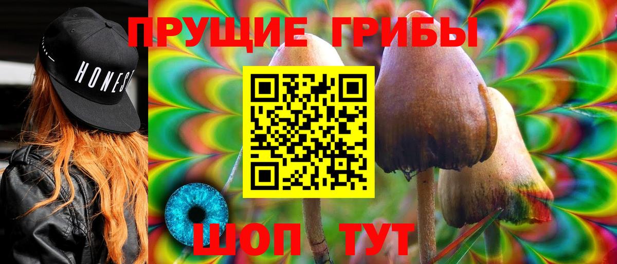 Галлюциногенные грибы мицелий  Вход с VPN  купить наркоту  Алапаевск 