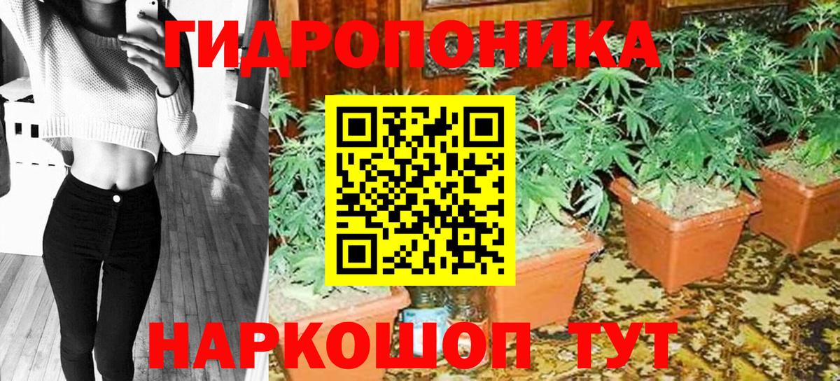 Каннабис Bruce Banner Алапаевск